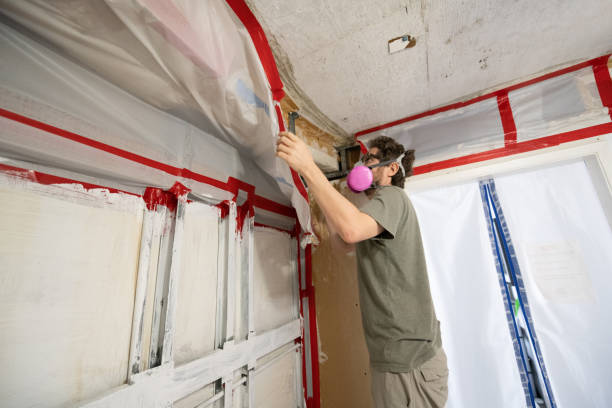 Best Mold Removal for HVAC Installations  in Hermantown, MN