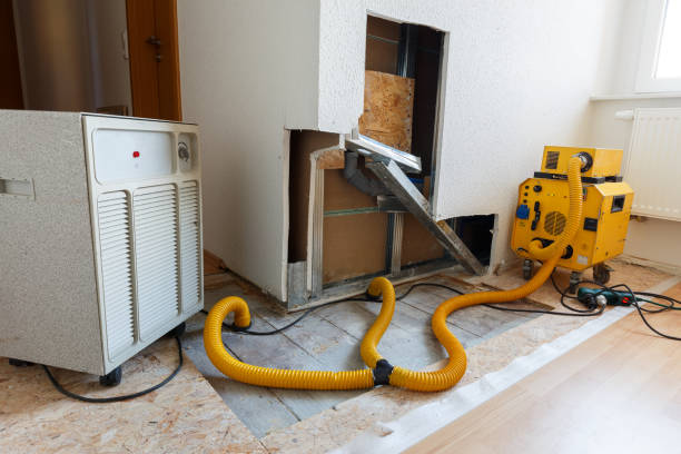 Best Indoor Air Quality Assessment  in Hermantown, MN