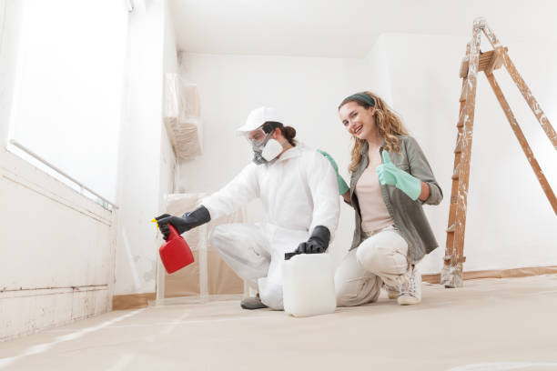 Best Residential Mold Inspection & Testing  in Hermantown, MN