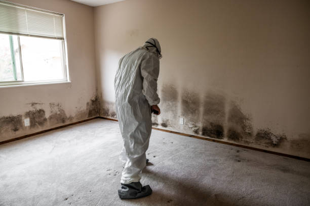 Best Air Quality Testing for Mold Spores  in Hermantown, MN